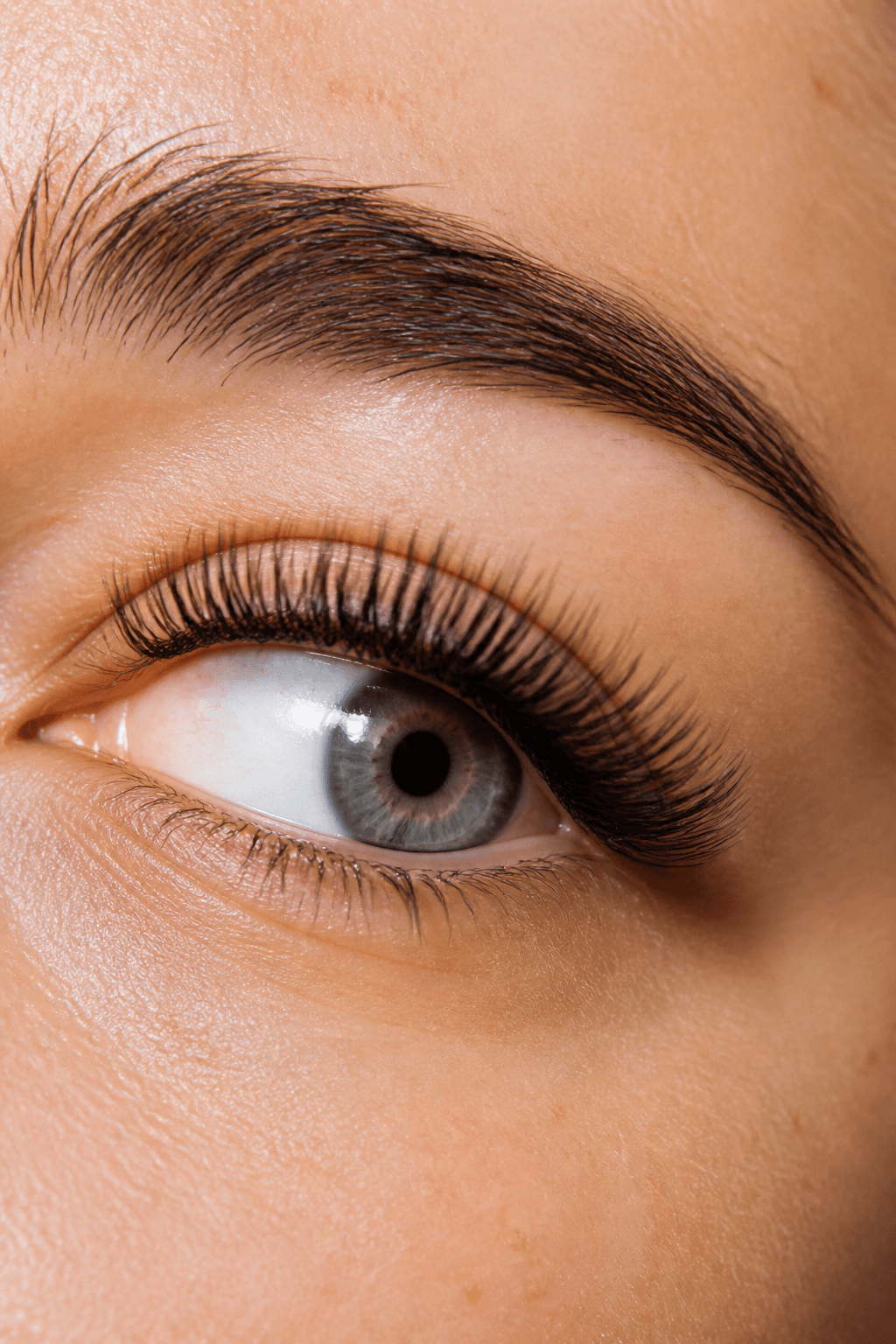 Classic lash extensions close-up, Binitouch Lash&Brow, Little Ferry NJ